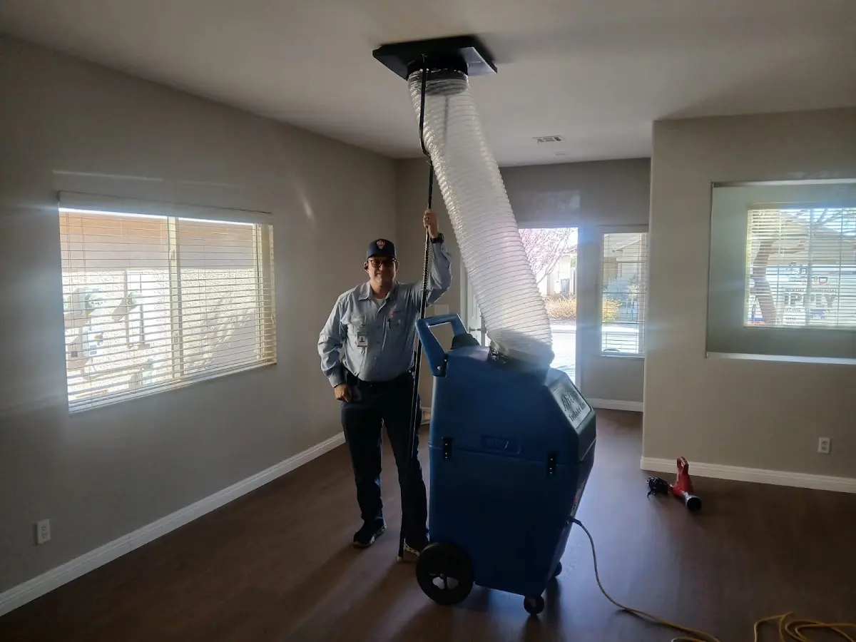Professional Dryer Vent Cleaning work inside a Glennville home